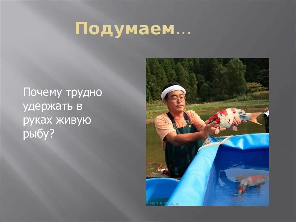 Почему трудно удержать в руке пойманную рыбу. Почему трудно удержать в руках живую рыбу. почему трудно удержать в руках намыленную тарелку физика 7 класс.