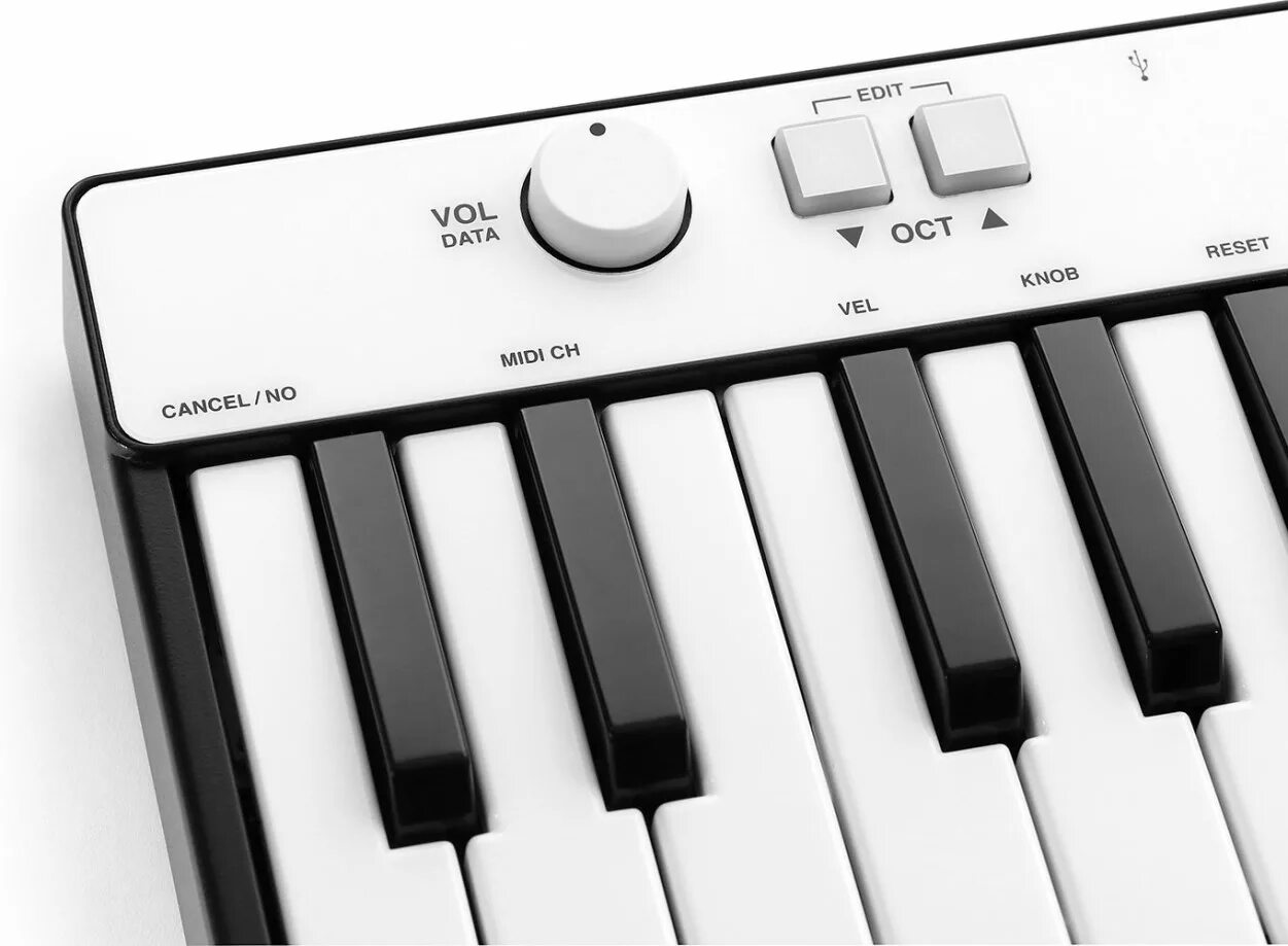 Irig keys. Ik multimedia irig keys mini. irig миди клавиатура. клавиатура midi ik multimedia. midi keyboard irig 25.