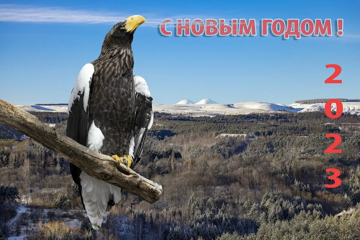 нижний орел