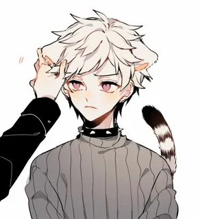 Cat boys