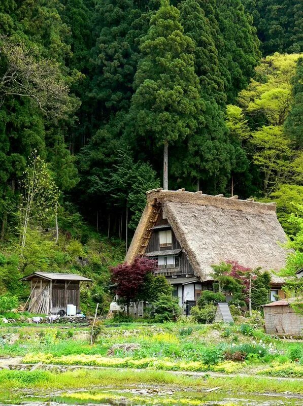 Japanese village. Аогавара деревня Япония. Деревня Нисиго Япония. Деревня в Японии сирагавако. Горная деревня в Японии.