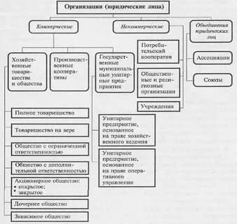 Классификация юридических лиц по организационно правовым формам