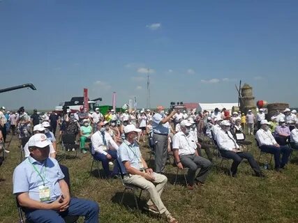 Поле 2021 год