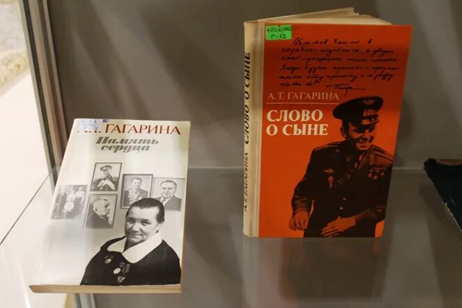 108 минут и вся жизнь. 108 Минут и вся жизнь книга. Гагарина 108 минут и вся жизнь книга.