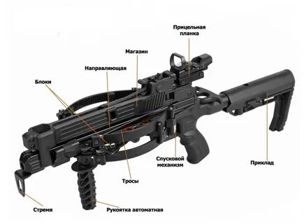 Арбалет мамба