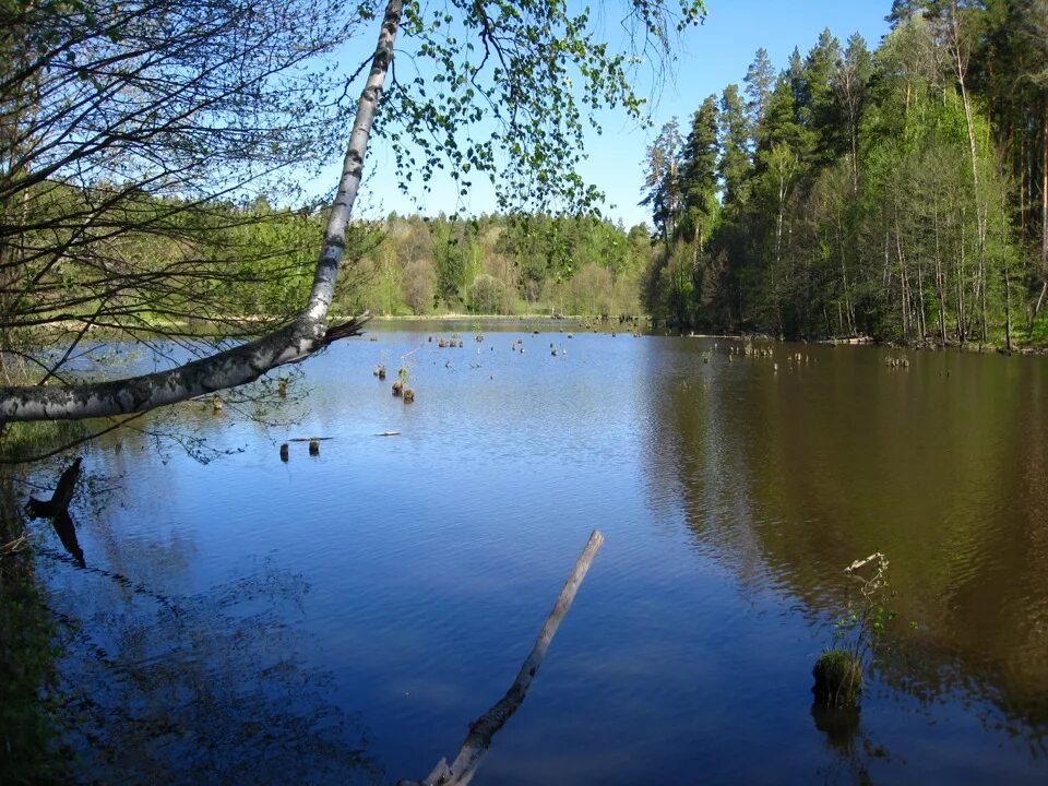 Искать пруды. Искать пруды. Водоем. Черникин пруд елец. Нижний ащеринский пруд.