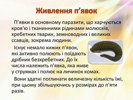 Среда обитания пиявок