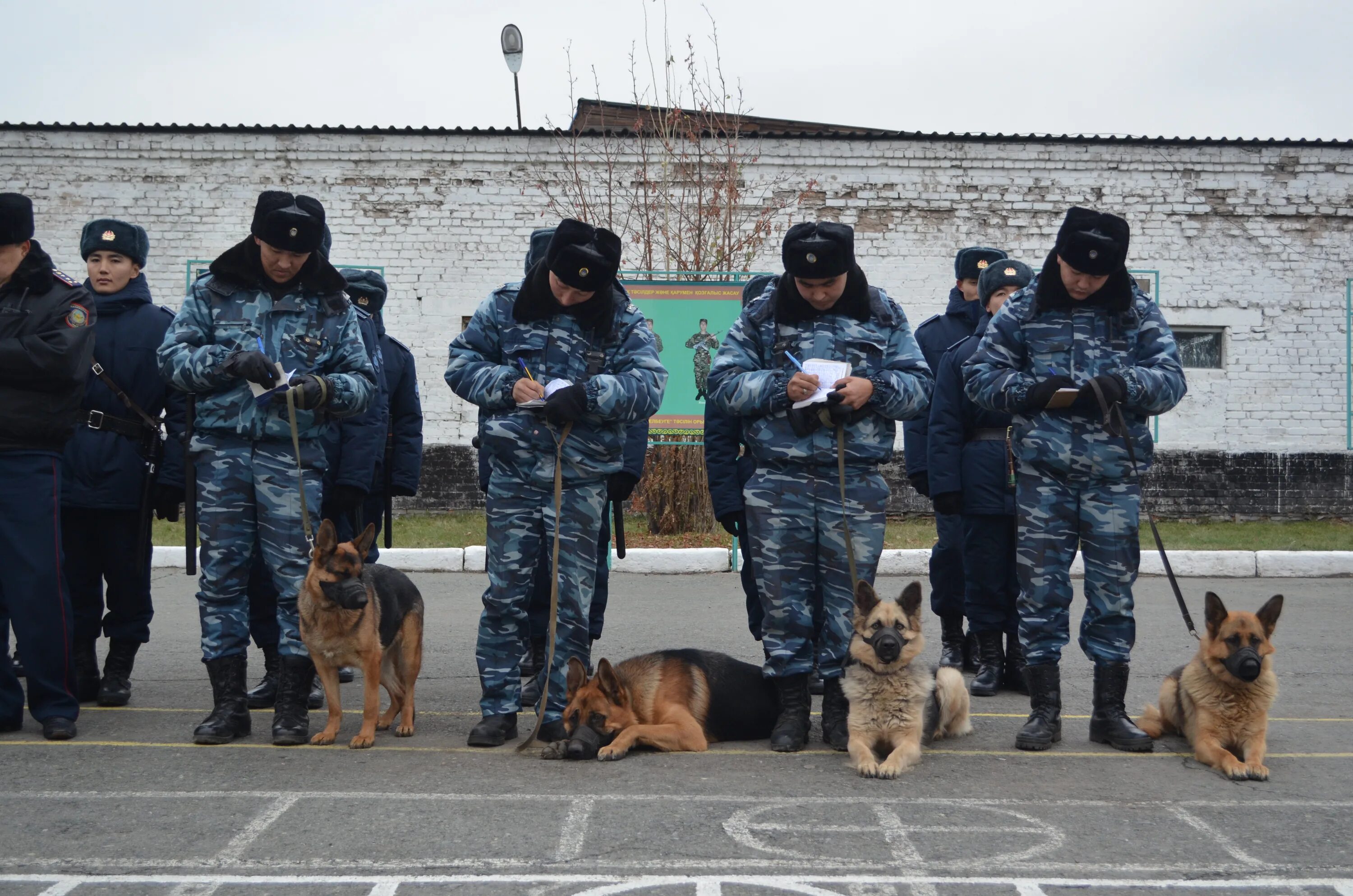 Сап орд
