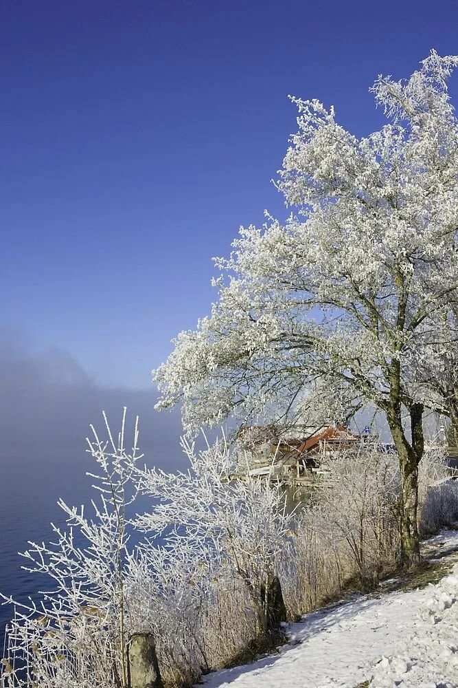 Is winter beautiful. Красота зимы. Самая красивая зима. Зима фото. Красота зимы фото.