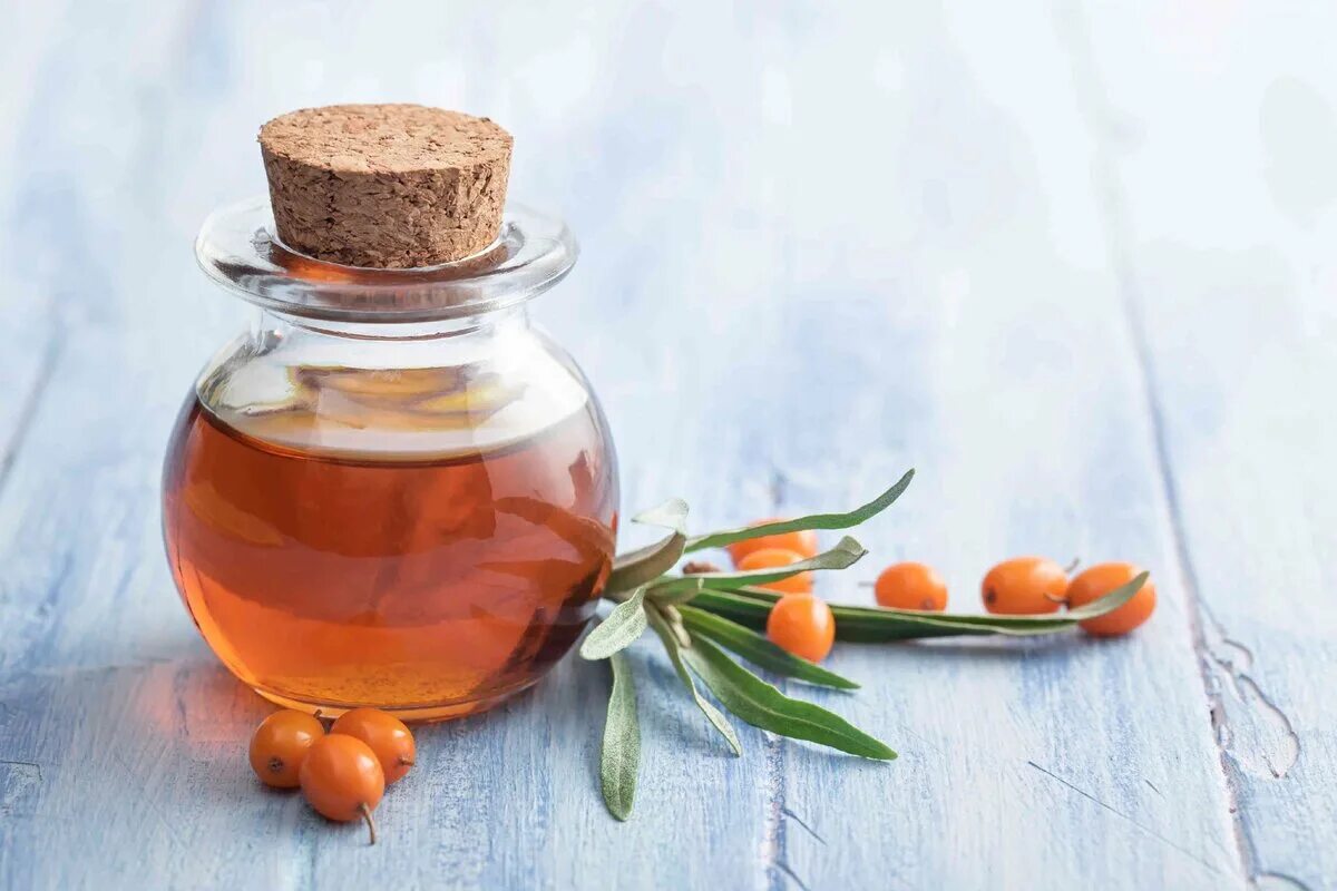 Применение облепихового. Каротиноиды облепихи. Облепиховое масло Sea Buckthorn Berry Oil. Чай с облепихой. Настой облепихи.