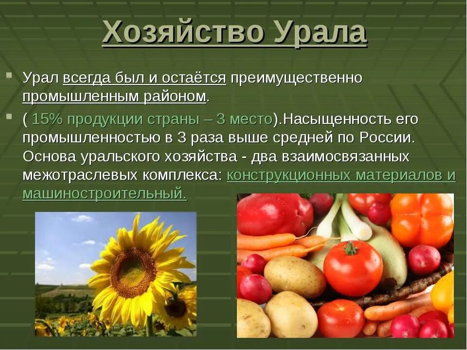 хозяйство урала 9 класс география. хозяйство урала. хозяйство урала 9 класс география. хозяйство урала 9 класс география. хозяйство урала урала 9 класс.