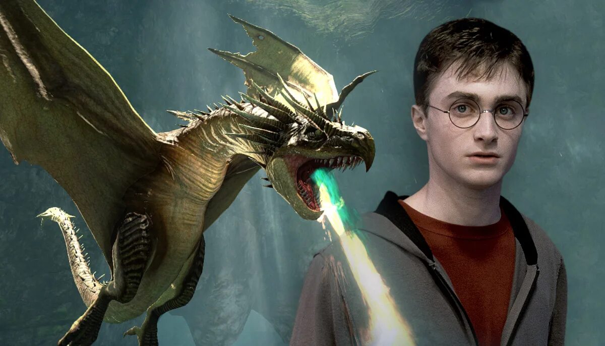 Норвежский горбатый дракон гарри поттер. Венгерская хвосторога гарри поттер. Венгерская хвосторога дракон. Дракон из гарри поттера хвосторога. Турнир трех волшебников гарри поттер драконы.