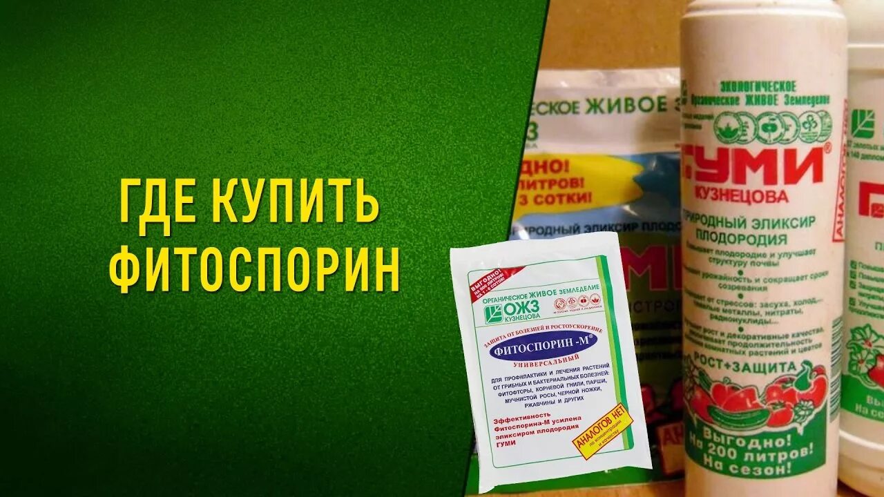Фитоспорин от мучнистой росы. Фитоспорин м цветы. Средство от бактериальных болезней растений «фитоспорин-м», 10 гр. Удобрение фитоспорин. Фитоспорин для комнатных растений.