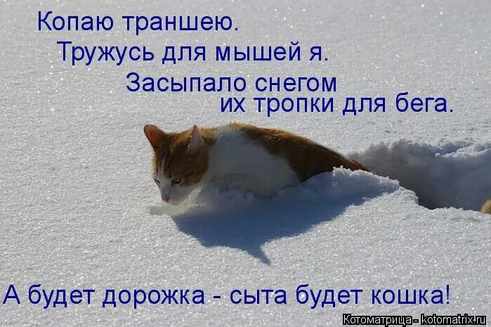 дорожку к дому твоему усыпал снег холодной. упал ранний снег. цитаты на тему дорожку к дому твоему усыпал снег холодной грусти. дом в сугробе. сад зимой.