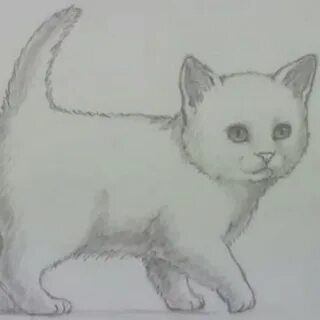 Как нарисовать кота дома