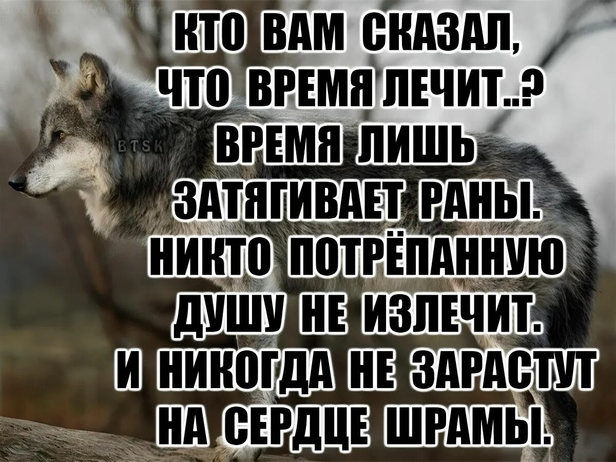 Время не лечит кто сказал. Время не лечит. Цитаты про боль и предательство. Разбитое сердце. Уоо вказал что время окчит.