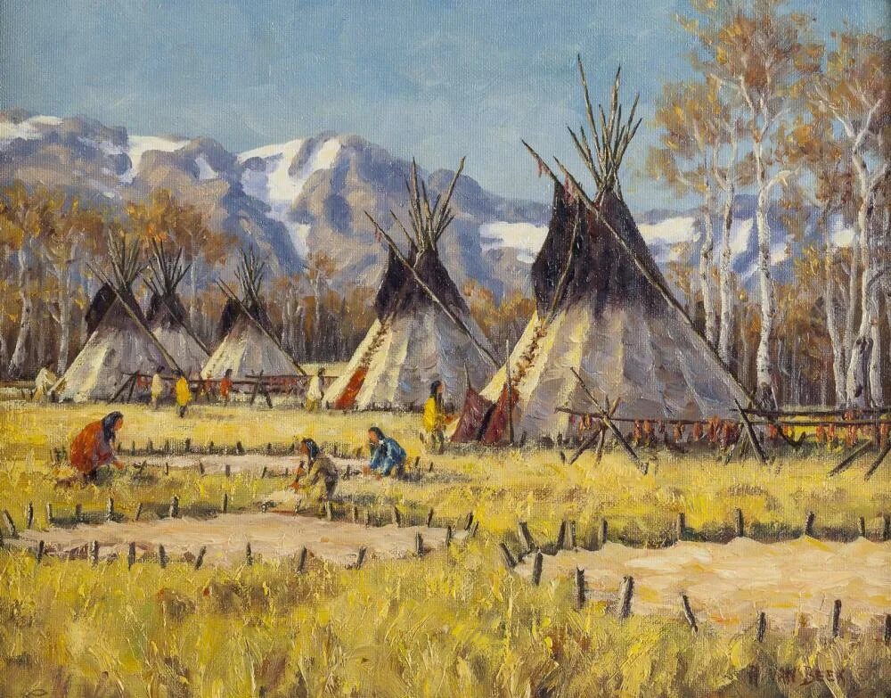 Индейская деревня пермь. Деревня индейцев северной америки. вигвам индейцев северной америки. танаина индейцы. деревня индейцев вигвамы.