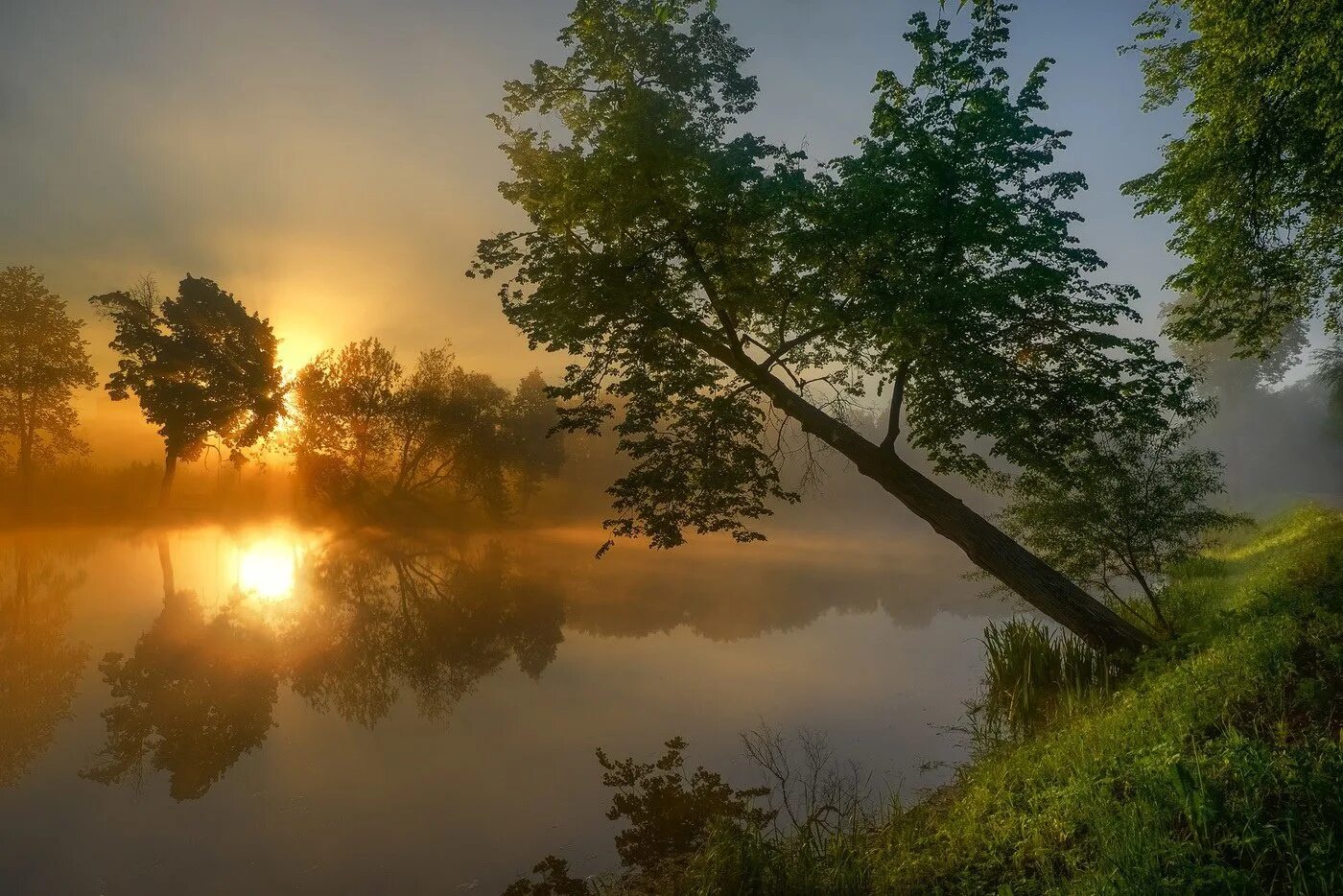 Над рекой широкою русской. Утренний пейзаж. Утро природа. Природа рассвет. Природа летом рассвет.