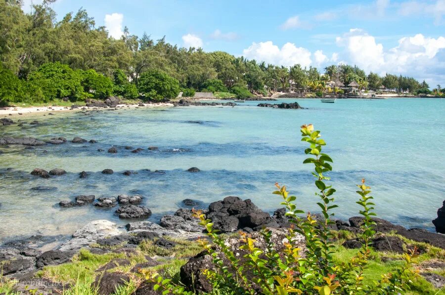 отсутствие пляжей. маврикий в мае. бухта тамарин маврикий. маврикий бакуа. маврикий бакуа.