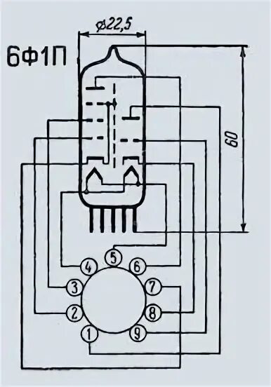 6 ф 12 п. Лампа 6ф1п. Радиолампа 6ф1п. 6ф1п цоколевка. Радиоламп Триод 6ф5.