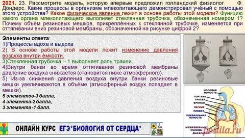 2 задание егэ биология