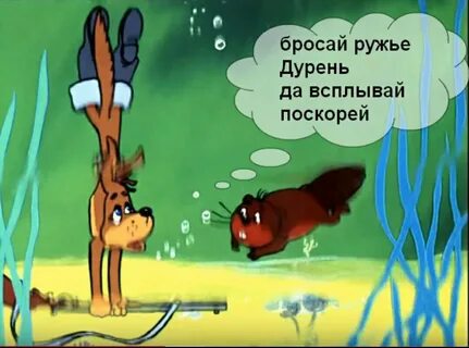 Ружье брось