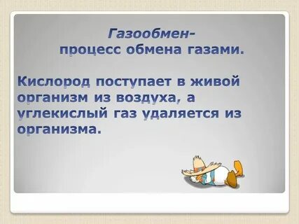 Можно ли жить и не