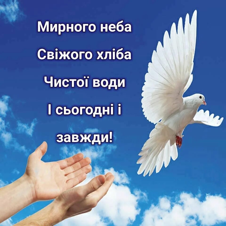 Доброго мирного неба. Мирное небо. мирного неба над головой. желаю всем мирного неба над головой. пожелания мирного неба.