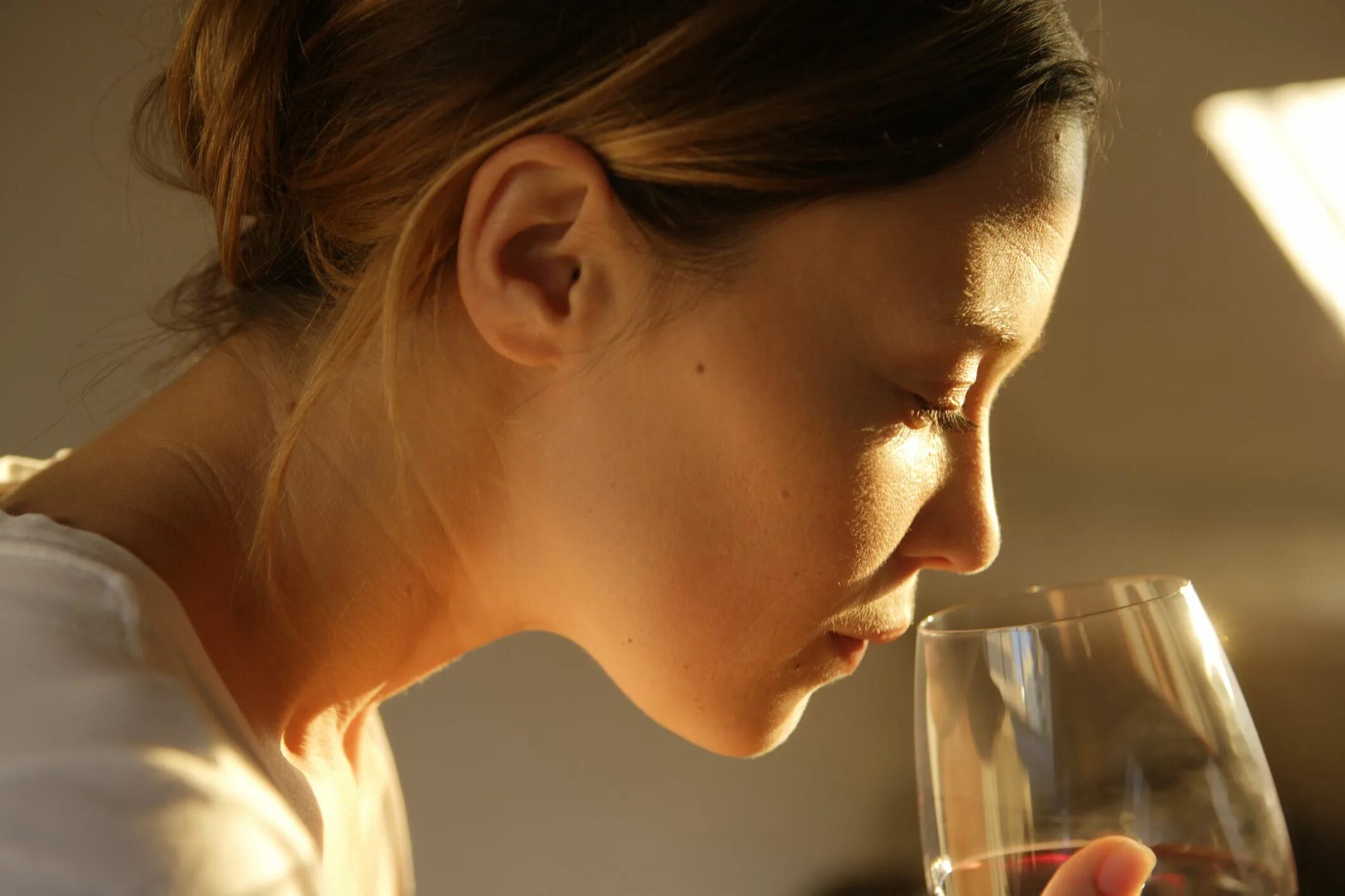 Обоняние. Хорошее обоняние. Запах видео есть. Запах видео есть. Адлер коцба запах женщины.