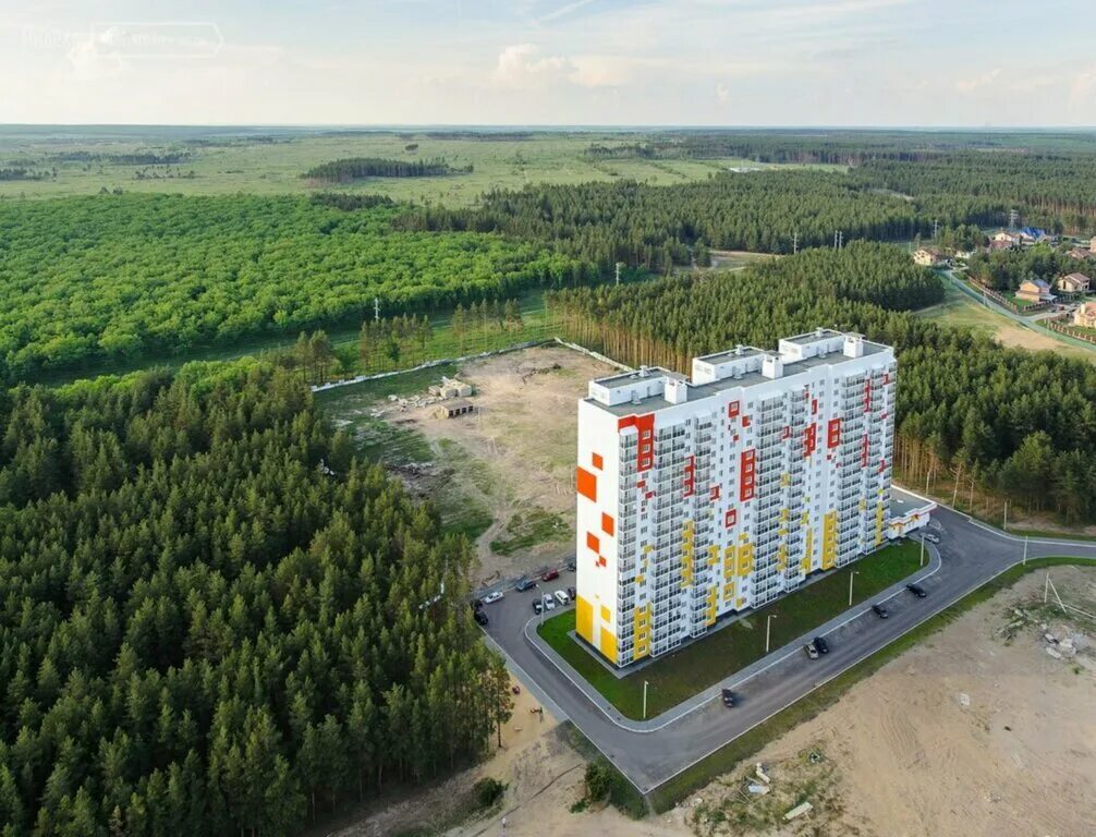 Мятный логотип. Мята надпись. Мятный парк. Мятный сквер. Мята этикетка.