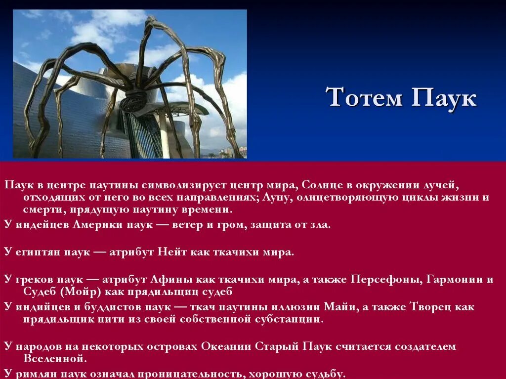 Что символизирует паук. Тотем паук. тотемное животное паук. животное силы паук. год паука.