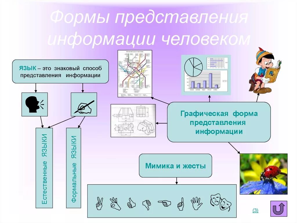 Назвать формы представления информации. Способы представления информации. Формы представления информации. Формы представления инф. Графический способ представления информации.