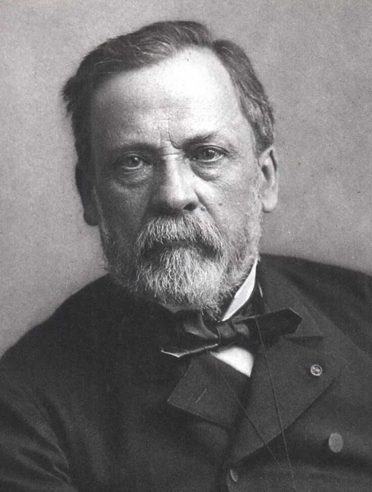 Л пастер вакцина. Луи Пастер. Луи Пастер (1822-1895). Луи Пастер ученый. Louis Pasteur (1822-1895).