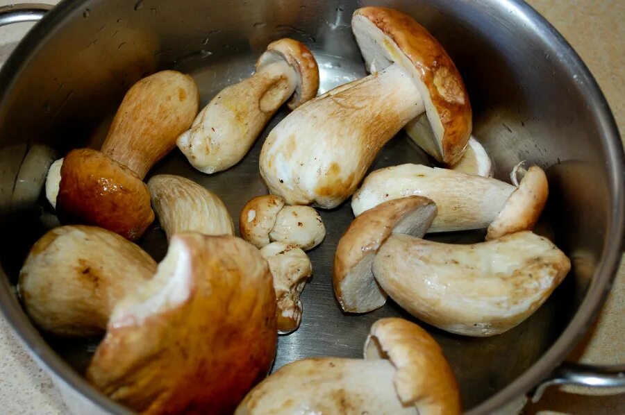 Сколько жарить грибы до готовности. Грибы приготовленные. Грибы для готовки. Белый гриб. Белые грибы готовка.