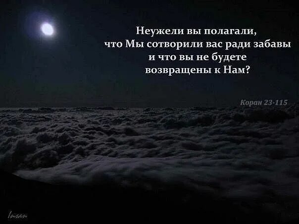 Сотворил нашел. Мудрые цитаты из Корана. Цитаты из Корана о жизни. Неужели вы думали что мы создали вас ради забавы. Неужели сотворили вас ради забавы.