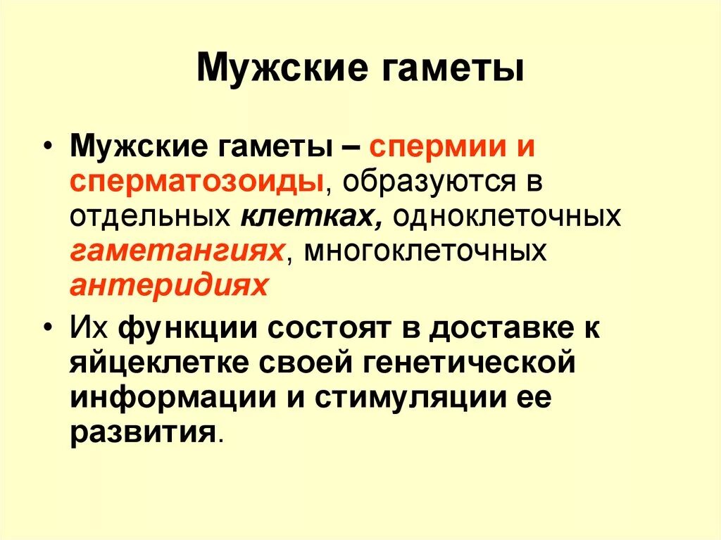 Мужские гаметы. Роль женских и мужских гамет. Где образуются гаметы. Мужские половые клетки. Женские гаметы образуются в результате