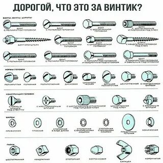 И т д разновидность и