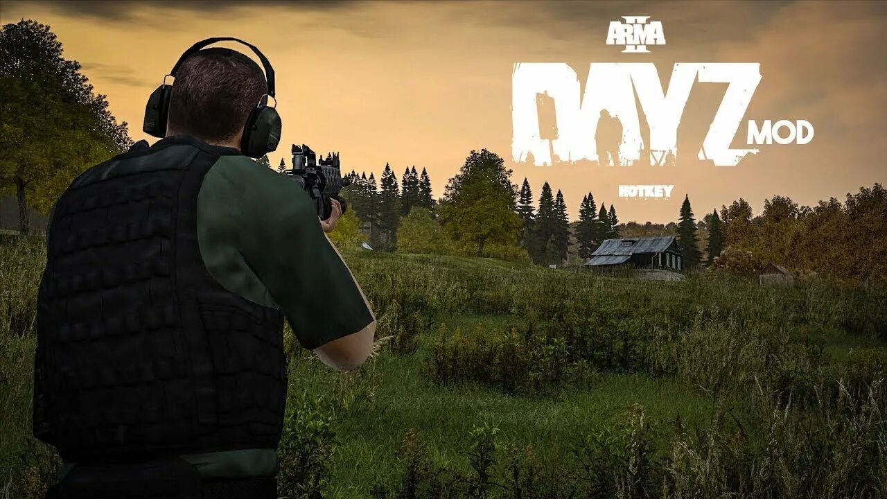 Пве мод дейз. Арма 2 dayz. arma 2 дейз. арма 2 дейз мод. dayz мод на арму.