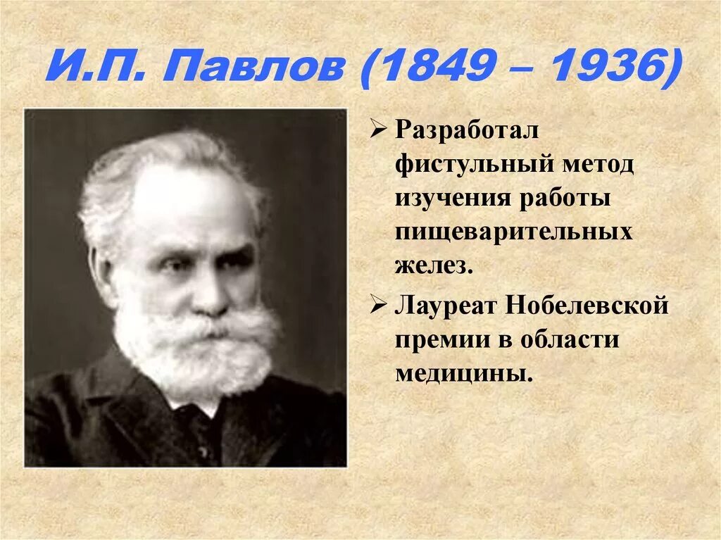 ИП Павлов ученый. Павлов и.п. (1849-1936). И П Павлов 1849. Павлов направление