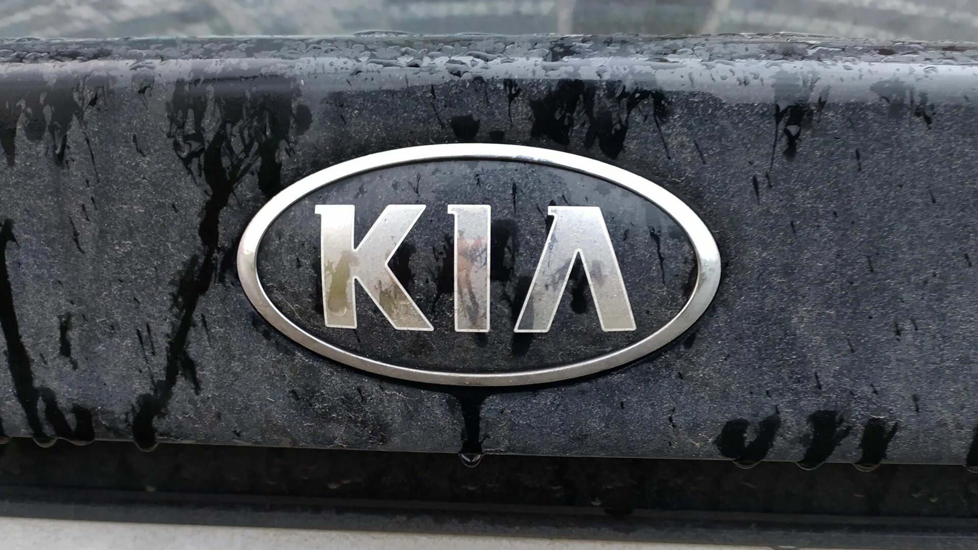 Изготовитель Kia. Киа производитель. Hyundai-Kia brands. Киа может Остановить продажи.