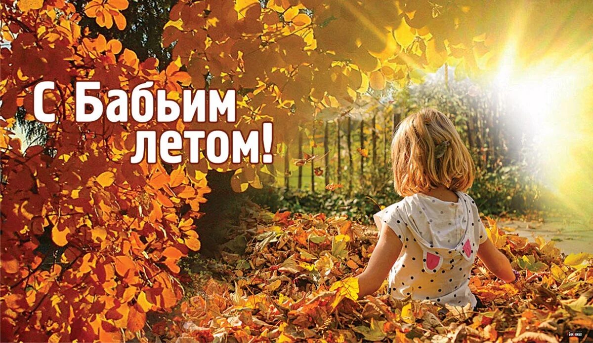 Фото золотая осень бабье лето идет Фестиваль "Бабье лето" 2023, Селивановский район дата и место проведения, прог