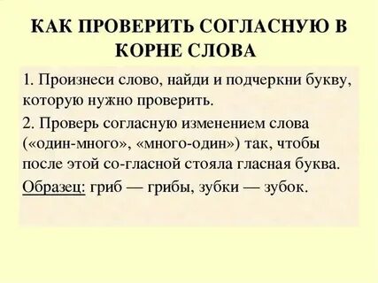 Проверяемая согласная в корне слова робкий