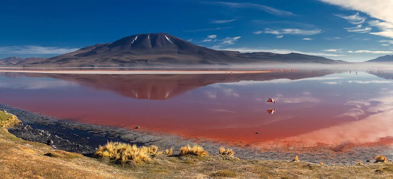 солончак уюни фламинго. озеро лагоа мирин. лагуна-колорадо боливия. красное озеро лагуна колорадо. озеро лагуна, лагуна колорадо.