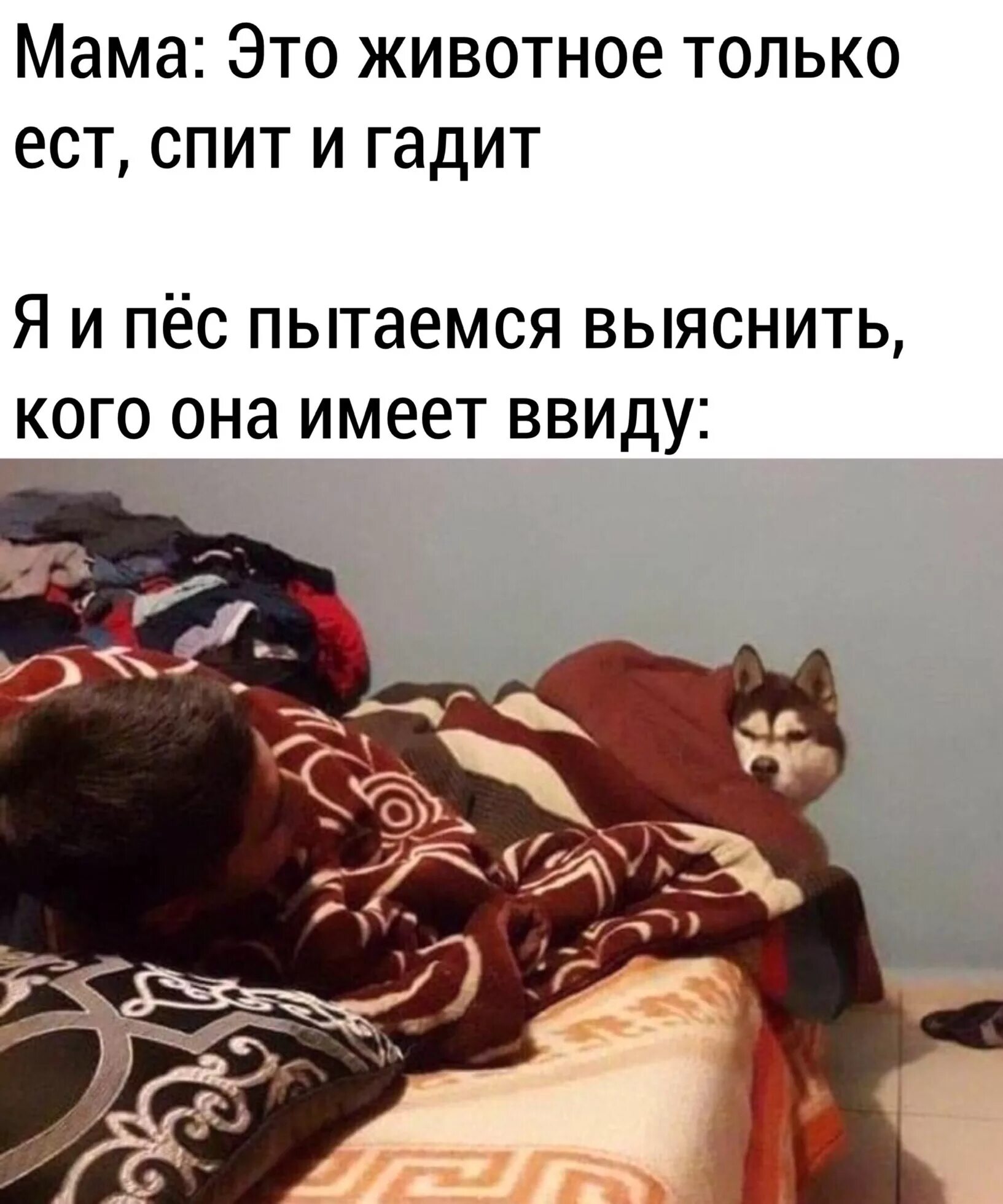 Мы с другом просто спим. Есть и спать.