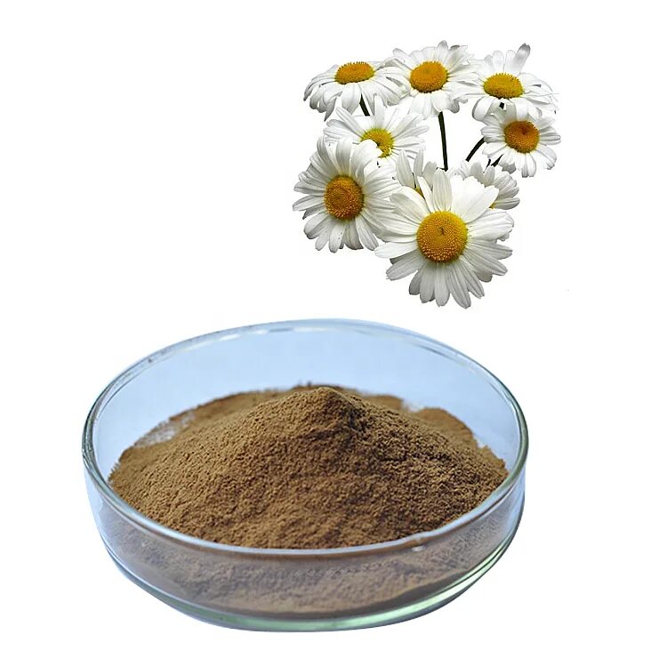 Растительные со2 экстракты. Масло из семян моркови. Эфирные и косметические масла. Натуральные эфирные масла. Свойства экстрактов в косметике.