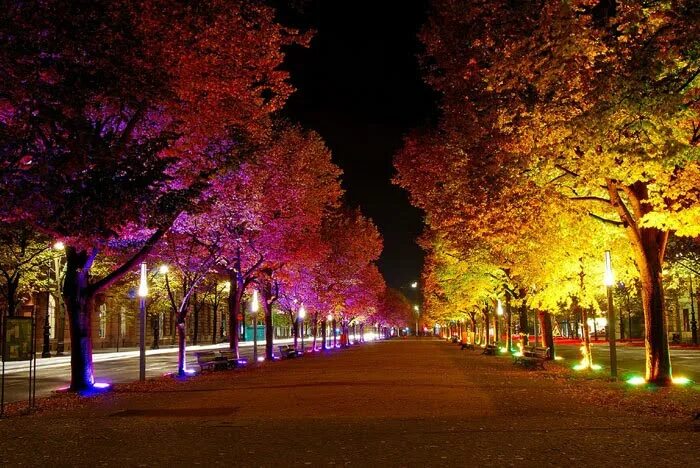 Бульвар унтер-ден-линден в берлине. Унтер ден. Бульвар унтер-ден-линден. Липовая аллея берлин. Улица под липами в берлине.