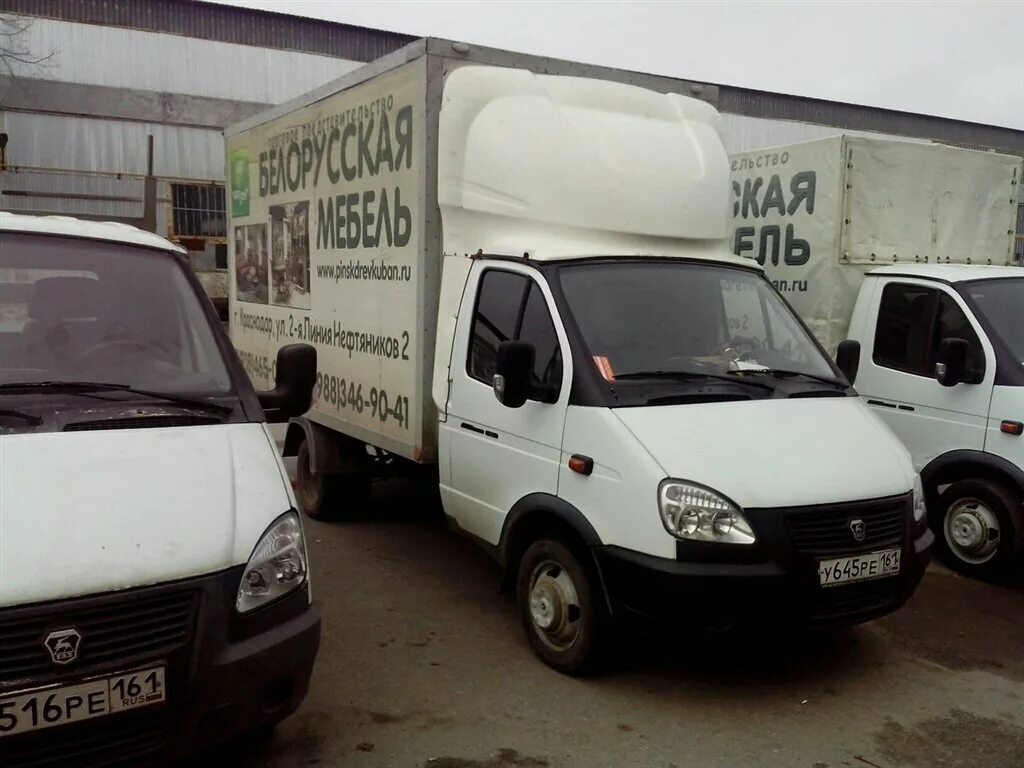о080рс61 газель. газель -донской 107. н 211 уо 161 газель. купить газель в ростовской области. сомон тж газель грузовой худжанд.