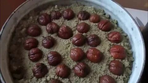 Сколько прорастает орех