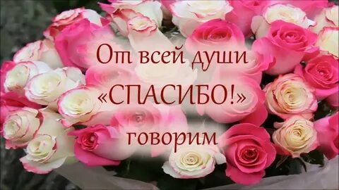Спасибо за полученные знания