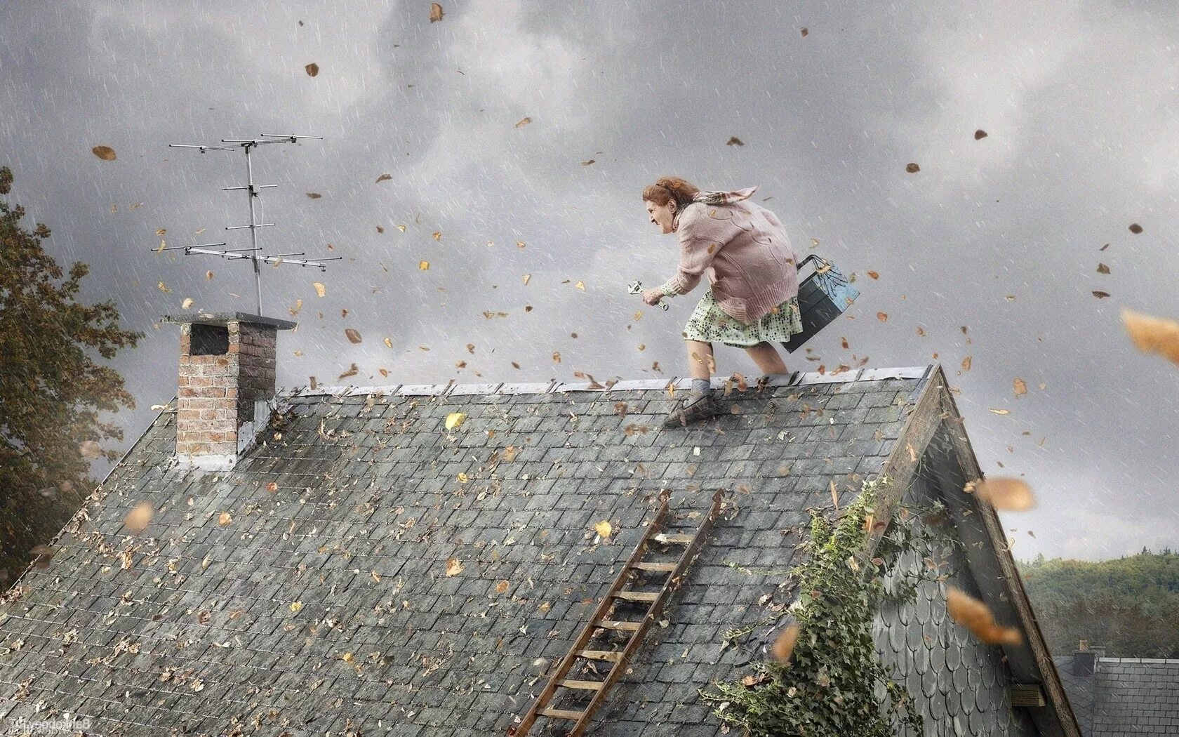 Gregor Collienne. Летающая крыша. Креативная крыша. Смешная крыша. Ветер треплет деревья и дожди